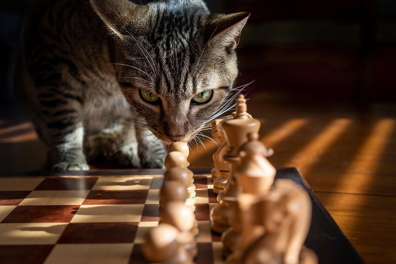 Playful Games